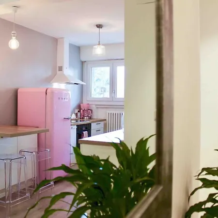 Vie En Rose Parking 2 Min Du Apartment *